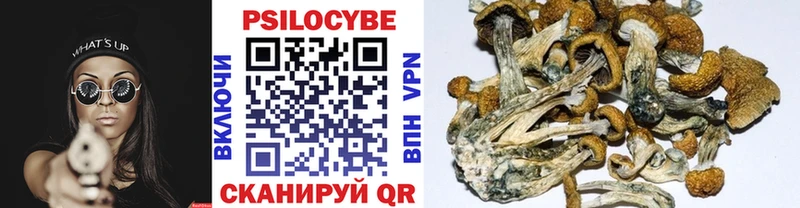 Галлюциногенные грибы Psilocybine cubensis  Малмыж 